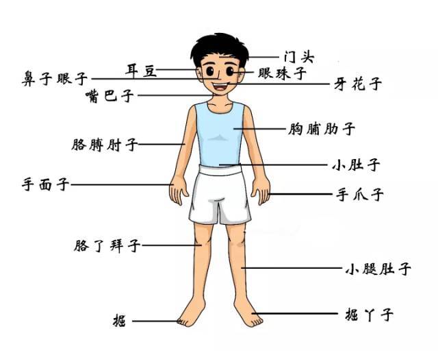 只有菏泽人才看得懂的方言土话